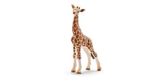 Schleich Wild Life 14751 Giraffenbaby