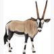Schleich Wild LIfe 14759 - Oryxantilope