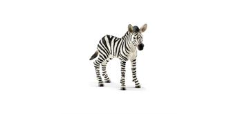 Schleich Wild Life 14811 Zebra Fohlen 7 cm