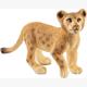 Schleich Wild Life 14813 Löwenjunges 4.4 cm