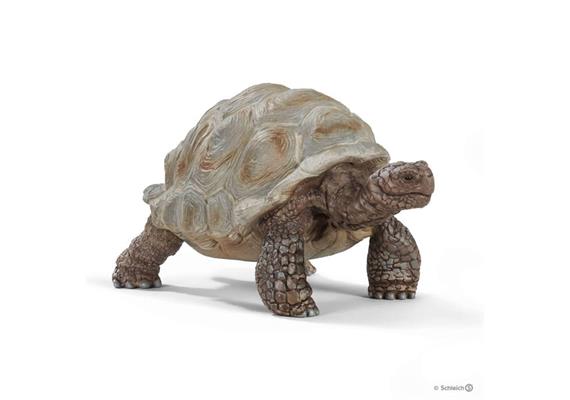 Schleich Wild Life 14824 Riesenschildkröte