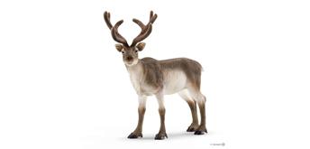 Schleich Wild Life 14837 Rentier