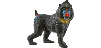 Schleich Wild Life 14856 Mandrill 6.2 cm