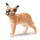 Schleich Wild Life 14868 Karakal Junges 4,5 cm