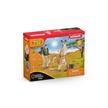 Schleich Wild Life 42623 Outback Abenteuer | Bild 5