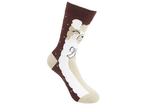 Socken 2316-117-5 Grösse 38 - 45 Llama