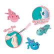 TapirElla 18940 Flitsch Axolotl 1 Stück assortiert | Bild 3