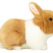 Teddy Hermann 93736 Hase beige-weiss 23 cm | Bild 2