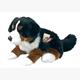 Teddy Hermann Berner Sennenhund sitzend, ca. 29 cm