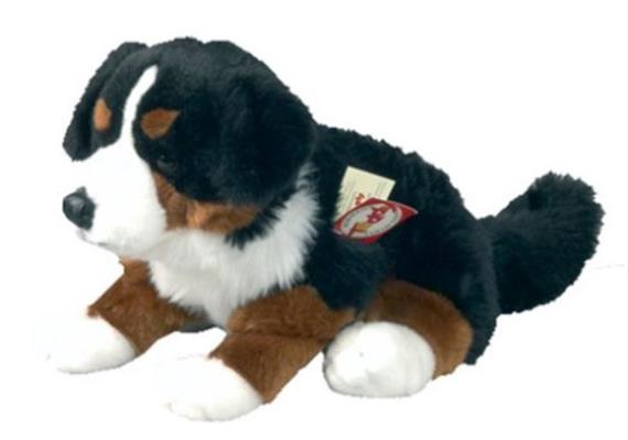 Teddy Hermann Berner Sennenhund sitzend, ca. 29 cm