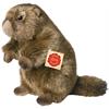 Teddy Hermann Murmeltier, ca. 20 cm