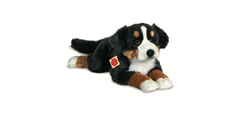 Teddy Herrmann - Berner Sennenhund liegend 60 cm