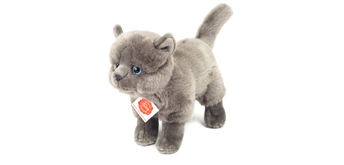 Teddy Herrmann - Kartäuser Katze stehend, ca 20 cm