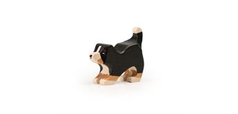 Trauffer 1253 Bernersenn spielend Welpe