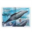 Trötsch 20345 Das grossartige Buch der Wale | Bild 3