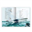 Trötsch 20345 Das grossartige Buch der Wale | Bild 2