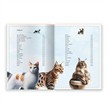 Trötsch 20538 Kinderbuch Das grossartige Buch der Katzen | Bild 2