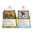 Trötsch 52181 Wissensbuch "101 Heimische Vögel" | Bild 4
