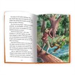 Trötsch 52616 Leseklassiker "Die Abenteuer des Robin Hood" | Bild 4