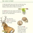 Unkaputtbar 4: Erstes Wissen: Im Wald | Bild 4