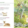 Unkaputtbar 4: Erstes Wissen: Im Wald | Bild 2