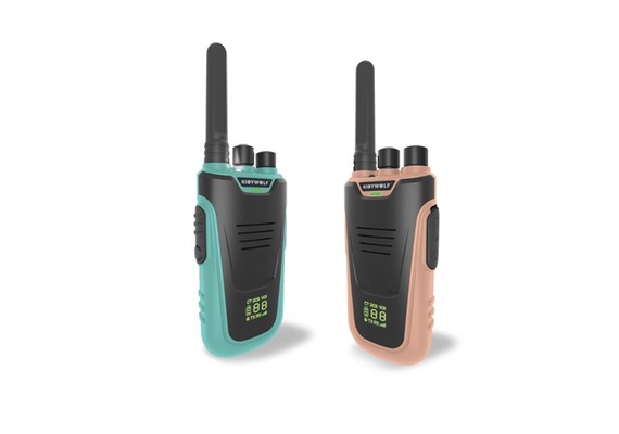 Walkie-Talkies mit Taschenlampe hellblau/rosa