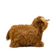 Wild & Soft WS 4853 Soft Bouncie Hochlandrind | Bild 2